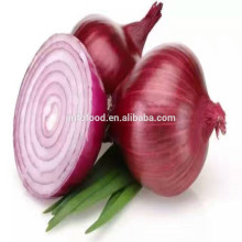 2017 fresh red onion